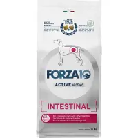 Forza10 Intestinal Active Régime nutraceutique pour les problèmes digestifs chez les chiens 10 kg