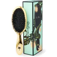 Fan Palm Brosse à Cheveux - Medium+ - Hollywood - - UneTaille - Brosse à Cheveux