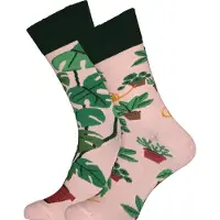 PLNTS.com Plant Lover Socks