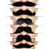 MOM Ensemble De 6 Moustaches