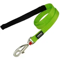 Red Dingo Laisse Pour Chien