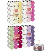 Bolsius Lot de 240 bougies chauffe-plat parfurmées