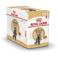 Royal Canin British Shorthair - nourriture humide en sauce pour chats adultes British Shorthair - 24x85 g