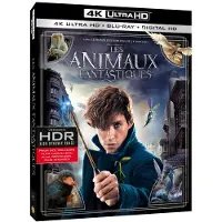 Warner Home Video Les Animaux Fantastiques Blu-ray 4K Ultra HD