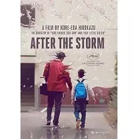 Import After The Storm Blu-ray