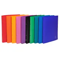 Exacompta Classeur à anneaux, PP, mécanisme à 2 anneaux, DIN A4, assorti (A4, 20 mm, 20 pcs)