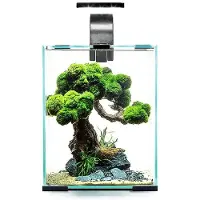 Aquael Shirmp D And N Complete Aquarium 19l Noir