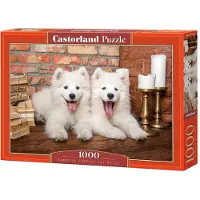 Castorland Puzzle Les Chiots Samoyèdes Disent Bonjour - 1000 pièces