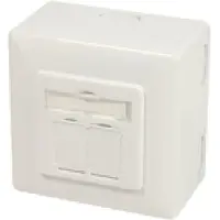Dsit CAT 6A Prise universelle UP + AP 2 x RJ45 STP blanc pur (boîte pliante de 1)