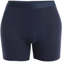 Icebreaker Core Merino Boxers Bleu S Homme