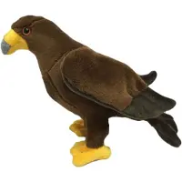 Cornelissen - Doudou - Aigle royal