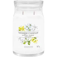 Yankee candle Midnight Jasmine bougie parfumée I. Signature 567 g