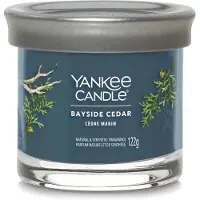 Yankee candle Bayside Cedar bougie parfumée I. 122 g