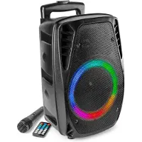 Fenton FT8LED-MK2 Noir 300 W