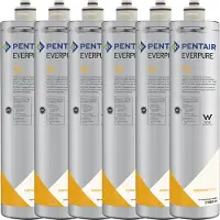 Everpure Filtre à eau 4C EV9600-00