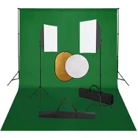 vidaXL Kit de studio photo boîtes à lumière toile de fond réflecteur