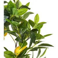 Beliani Lemon Tree (105 cm)
