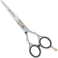 Zwilling Htr5619enmg Scissors Argenté