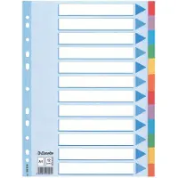 Esselte Séparateurs de cartes multicolores, A4, 225 mm, 297 mm, 3 mm, 140.00 g, 10 pc(s)