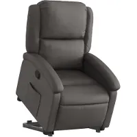 vidaXL Fauteuil relax avec releveur Gris Cuir véritable
