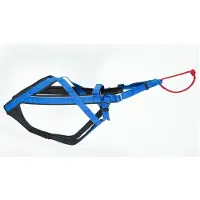 Neewa Nowa - Harnais de course pour chiens - taille l