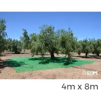 EDM Mantle To Collect Fruits 4x8m Vert