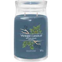 Yankee candle Bayside Cedar bougie parfumée Signature 567 g