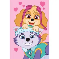 Paw Patrol Fleecedecke 100 x 150 cm weiche Decke für Kinder