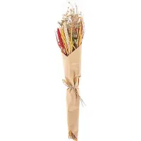 Beliani Bouquet de fleurs séchées PAMPELUNA Naturel