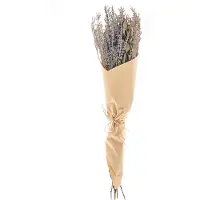 Beliani Bouquet de fleurs séchées NAWARRA Naturel