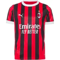 Puma T-Shirt fonctionnel 'AC Milan 24/25' rouge / noir / blanc