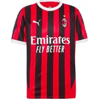 Puma Maillot 'AC Milan 24/25' rouge / noir / blanc