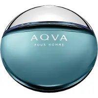 Bvlgari Aqva Pour Homme Edt Spray