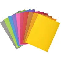Exacompta Fardes de classement - Couvertures de dossiers (A4, 100 x)