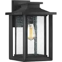 QUOIZEL Applique murale d'extérieur noire E27 60 W Wakefield