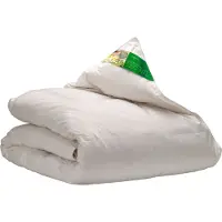 Ten Cate Couette - Couette en duvet - Couette 4 saisons - Couettes - Couette 260x220 - NEXTLIFE duvet recyclé