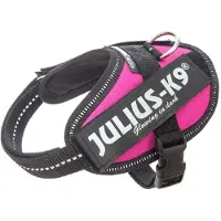 JULIUS K-9 Idc Power Baby Dog Harness Bleu Baby 2