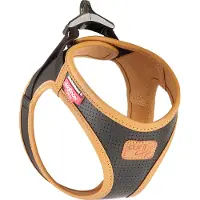 Curli Harnais pour chiens en cuir de pomme Noir M, 6-9 kg