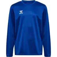 Hummel Sweat de sport bleu cobalt / blanc