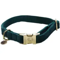 Kentucky Velvet Dog Collar Vert 25-38 cm