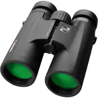 Shilba Raptor 12x50 Binoculars Noir