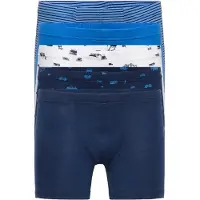Schiesser Sous-vêtements bleu / bleu foncé / noir / blanc