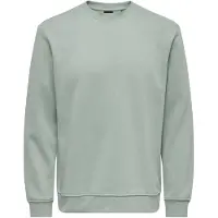 Only & Sons Sweat-shirt 'ONSConnor' vert pastel