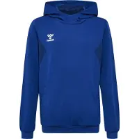 Hummel Sweat de sport 'Authentic' bleu marine / bleu cobalt / blanc