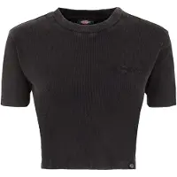 Dickies T-shirt 'Plentywood' noir