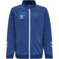 Hummel Veste de survêtement 'Lead' | 152 | boy