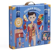 Eurekakids Human Body Magnetic Multi Language Multicolore Enfants
