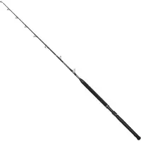 Penn Marine Brigade Trolling Baitcasting Rod Argenté 1.98 m / 30-60 Lbs