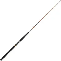 Sakura Canne Jigging Mitsio