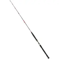 Daiwa Canne Spinning Saltist